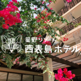 【最新】国内航空券セール情報～JAL・ANA・LCC等～