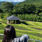 【ブログ】小3の夏休み