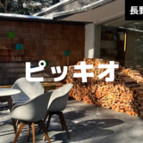 【最新】国内航空券セール情報～JAL・ANA・LCC等～