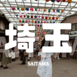 【最新】国内航空券セール情報～JAL・ANA・LCC等～