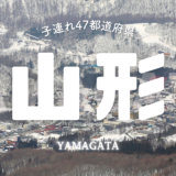 【最新】国内航空券セール情報～JAL・ANA・LCC等～