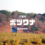 【最新】国内航空券セール情報～JAL・ANA・LCC等～