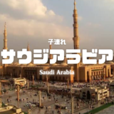【最新】国内航空券セール情報～JAL・ANA・LCC等～