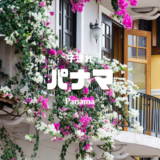 【最新】国内航空券セール情報～JAL・ANA・LCC等～