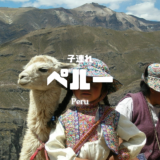 【最新】国内航空券セール情報～JAL・ANA・LCC等～