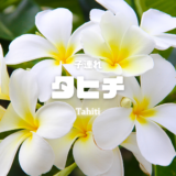【最新】国内航空券セール情報～JAL・ANA・LCC等～