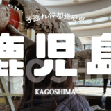 【最新】国内航空券セール情報～JAL・ANA・LCC等～