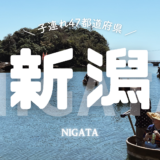 【最新】国内航空券セール情報～JAL・ANA・LCC等～