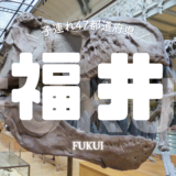 【最新】国内航空券セール情報～JAL・ANA・LCC等～