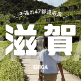 【最新】国内航空券セール情報～JAL・ANA・LCC等～