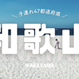 【最新】国内航空券セール情報～JAL・ANA・LCC等～
