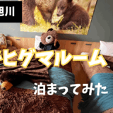 【子連れ星野リゾート】エゾヒグマルームに泊まってみた！【OMO7旭川】
