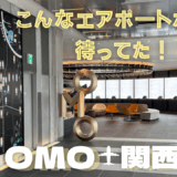 【子連れ星野リゾート】こんなエアポートホテル待ってた！【OMO関西空港】