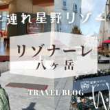 【子連れ星野リゾート】クリスマスムード溢れるホテル【リゾナーレ八ヶ岳】